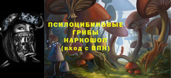 спайс Абинск