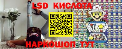гидропоника Сланцы
