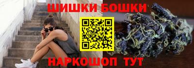 гидропоника Сланцы