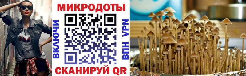 kraken ТОР  Тюмень  Псилоцибиновые грибы прущие грибы 
