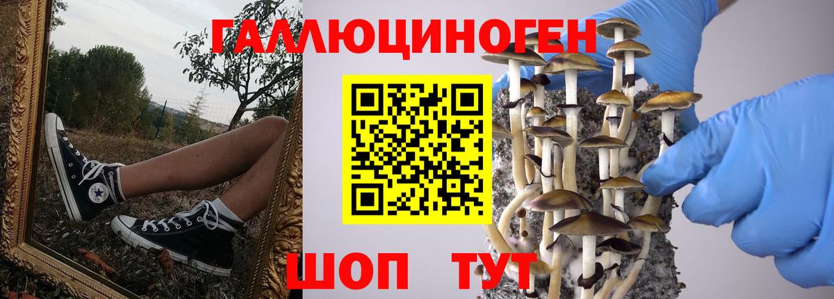 Галлюциногенные грибы Psilocybe  Вход с VPN  Псилоцибиновые грибы Cubensis  Тюмень 