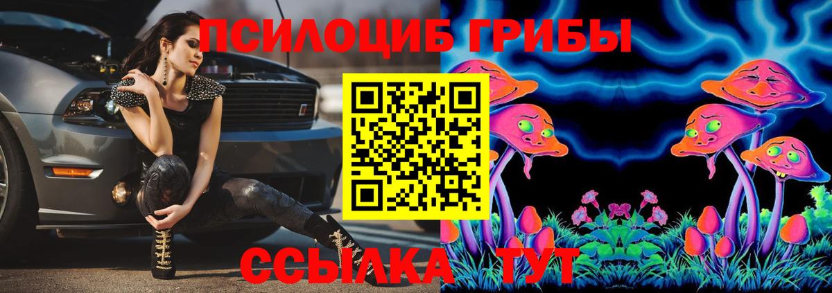 Галлюциногенные грибы прущие грибы Тюмень